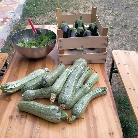 Il Casale Del Popolo * Barbarano Romano